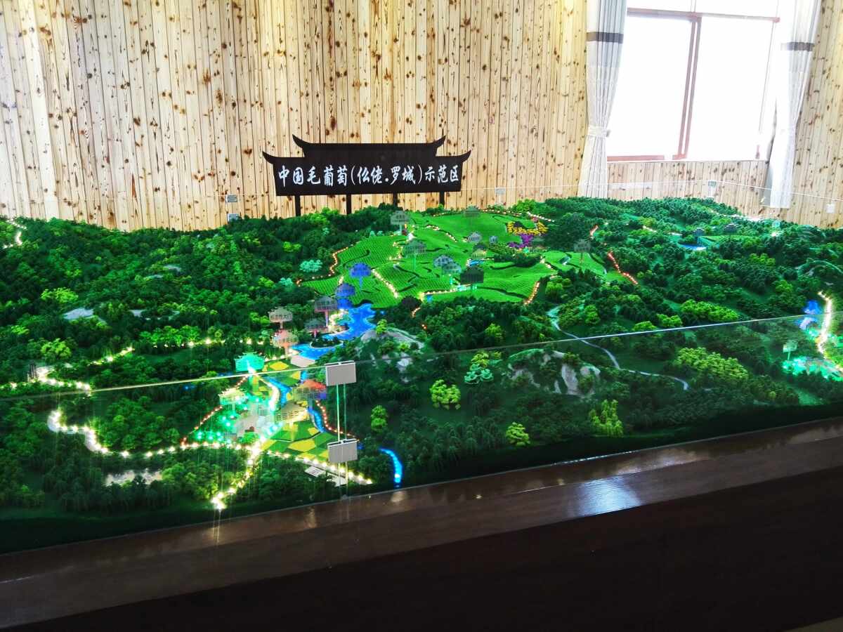 中国毛葡萄（仫佬.罗城）示范区